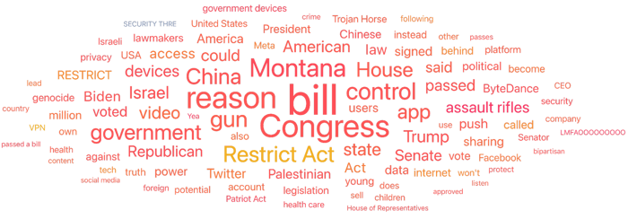 Figure 2 - TikTok top topics