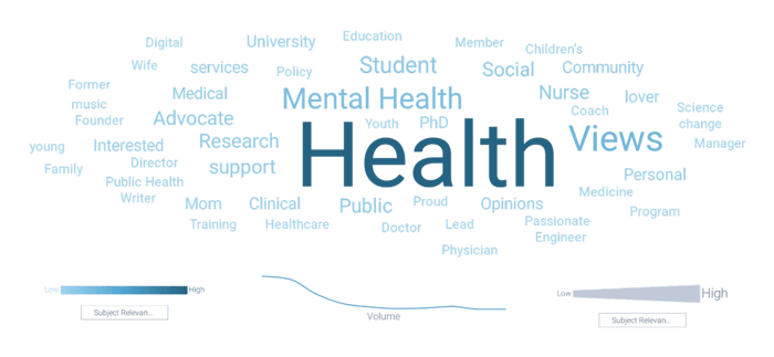 Wellness Guru personas source bios have the word health dominating them.