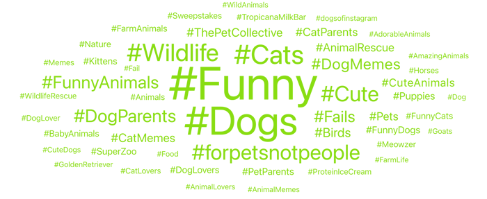 Image 7 - Pet Parents WC (1)