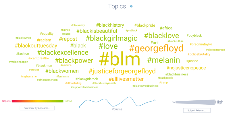 Image 8 - Black Lives Matter Topics-1
