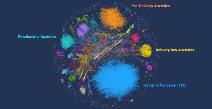 Figure 1: Narratives About Pregnancy Care (December 2024-June 2025); Infegy Social Dataset.
