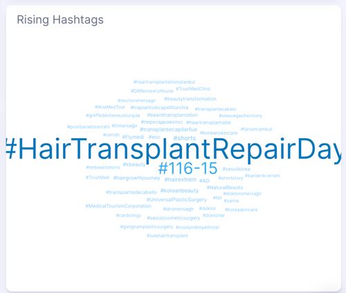 image showing the word cloud of a holiday created to fixed messed up hair transplants