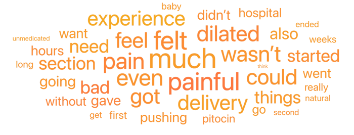 Figure 5: Topics Pertaining To Delivery Day Pain (December 2024 through June 2025); Infegy Social Dataset.