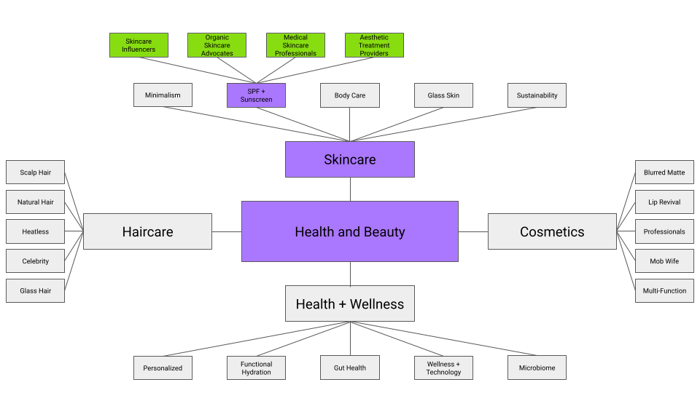 A visual map of the “Health and Beauty” category divided into four sections—Skincare, Haircare, Cosmetics, and Health + Wellness—each with subtopics and influencer groups such as skincare influencers and medical skincare professionals connected to skincare trends like SPF, minimalism, and sustainability.