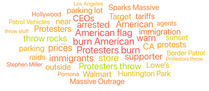 Figure 8: Top Topics About Home Depot ICE Raids (January 2025 through June 2025); Infegy Social Dataset.